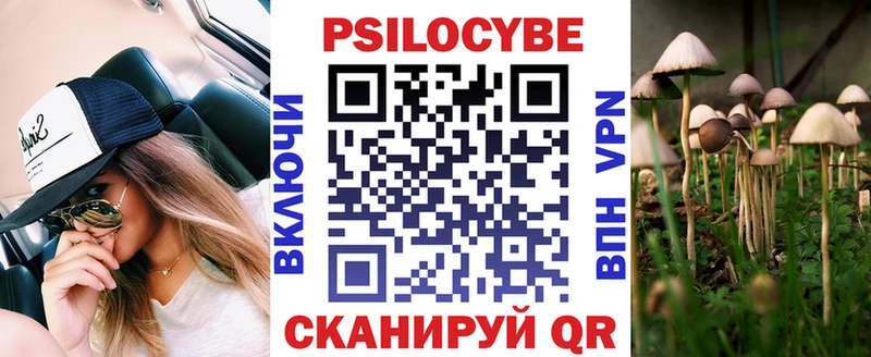 darknet клад  Новоузенск  Псилоцибиновые грибы мухоморы 